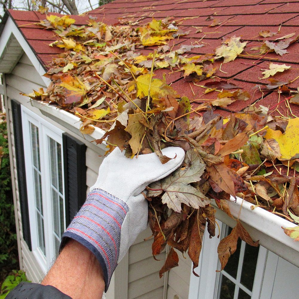 External Property Cleaning Services - South Melbourne, VIC - 3205 53