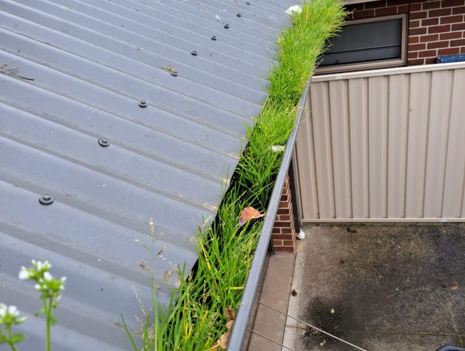 External Property Cleaning Services - Northcote, VIC 133