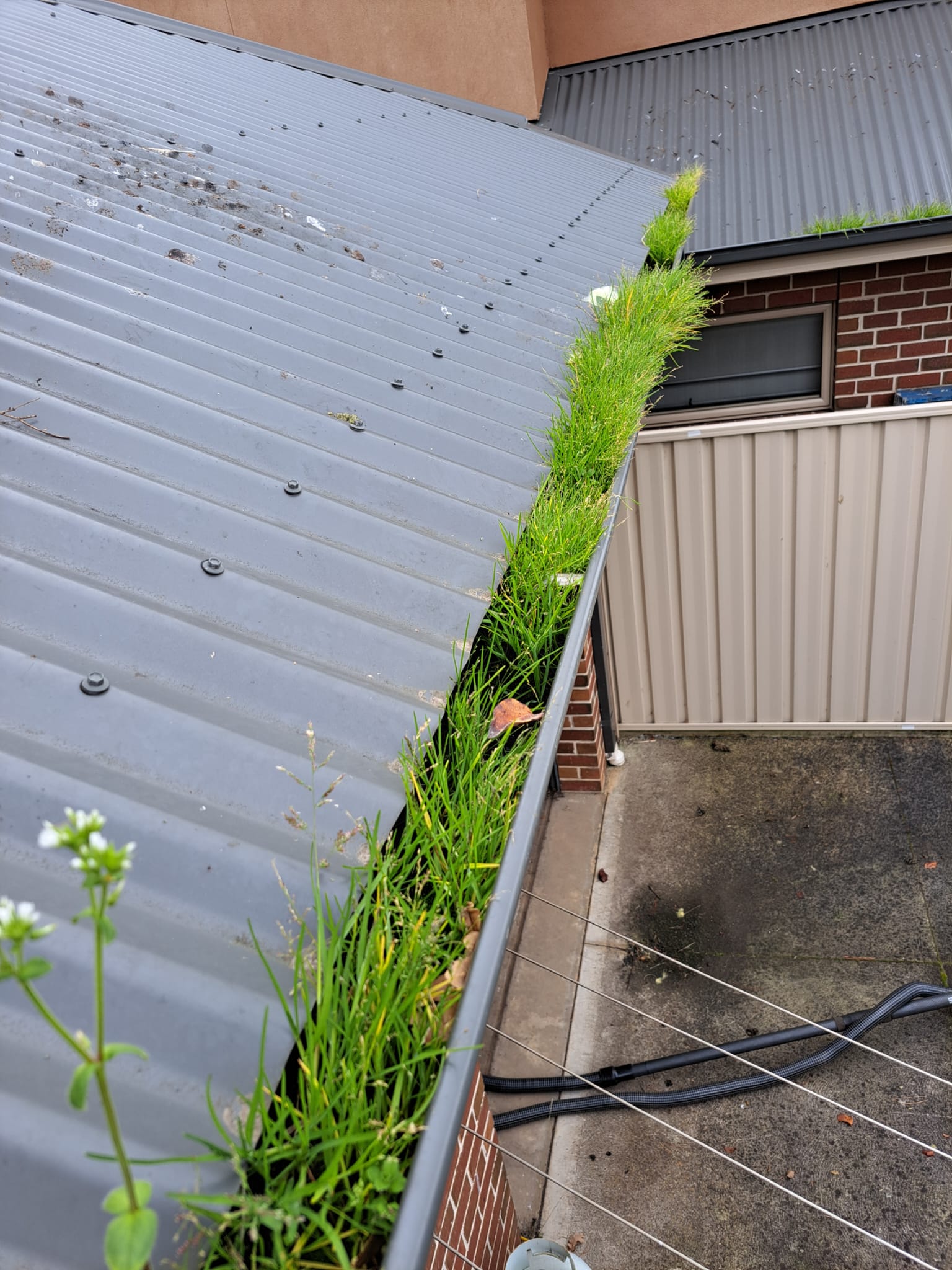 External Property Cleaning Services - Northcote, VIC 53