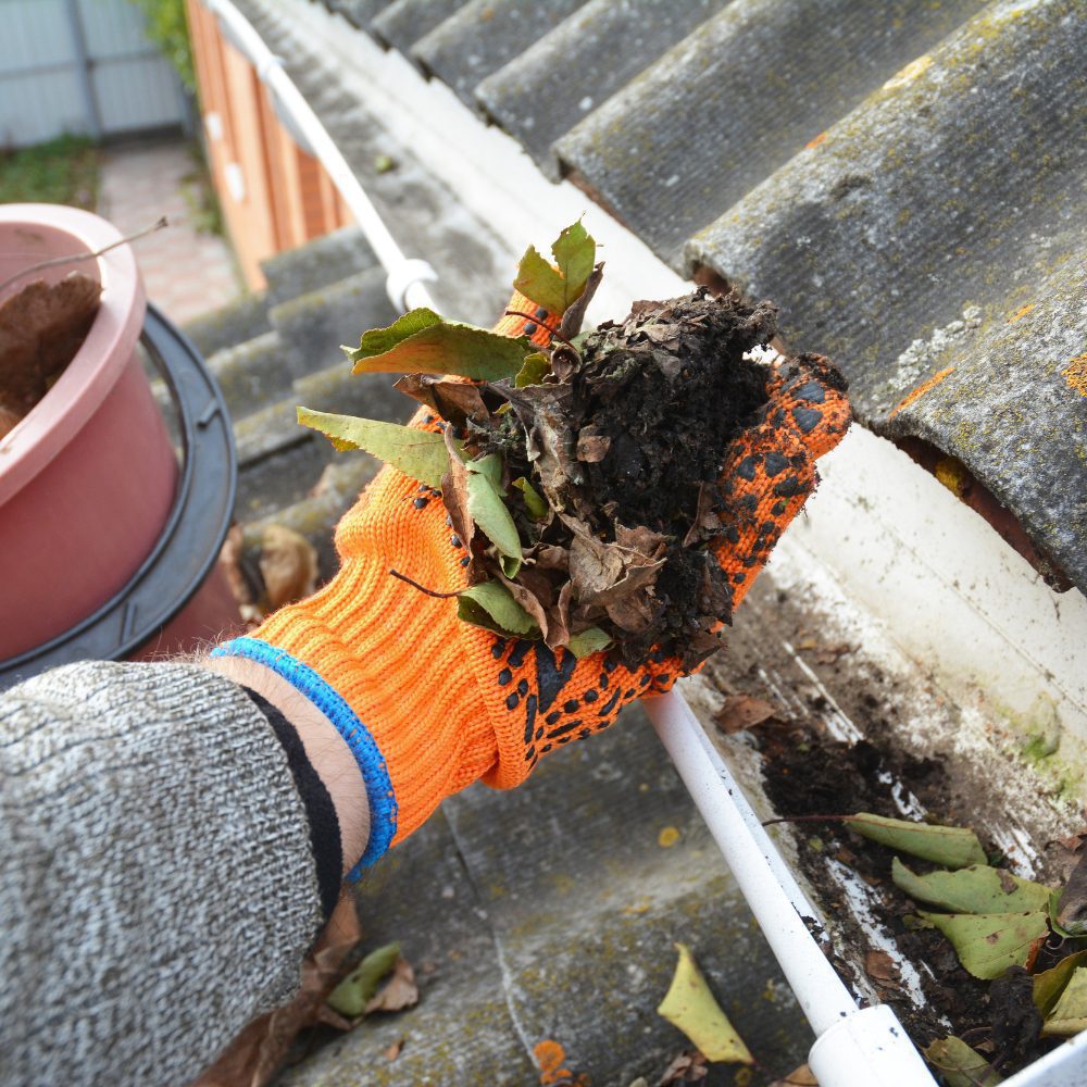 External Property Cleaning Services - Collingwood North, VIC - 3066 53