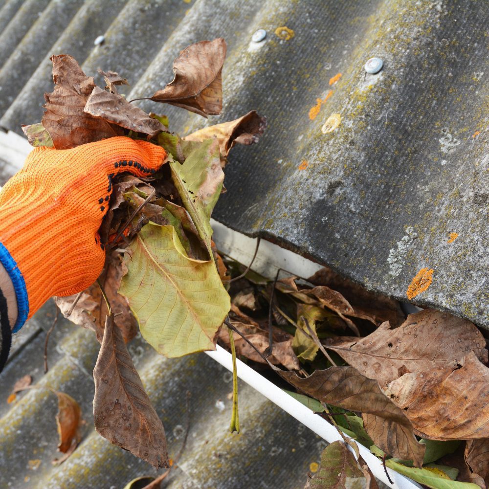 External Property Cleaning Services in Fawkner East, VIC 53