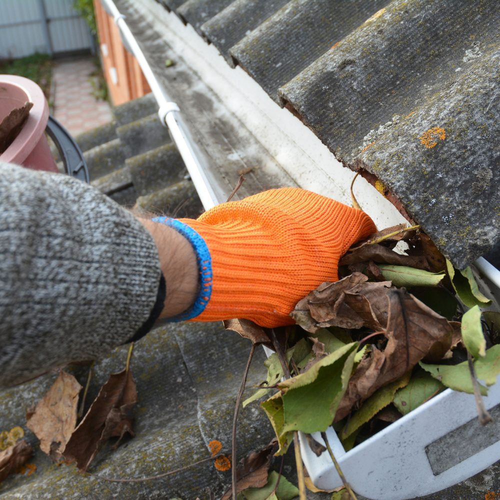 Melbourne Uni VIC 3052 External Property Cleaning 53